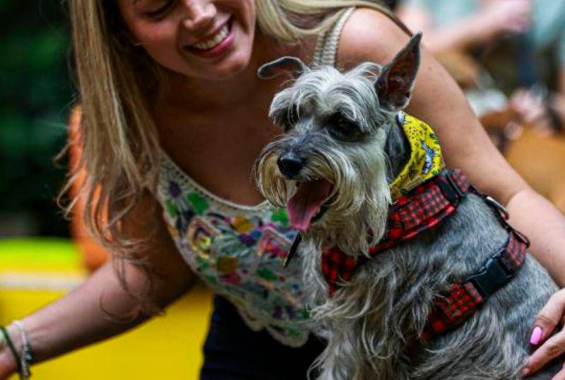 Obesidad en perros: estas son las razas más propensas a sufrirla