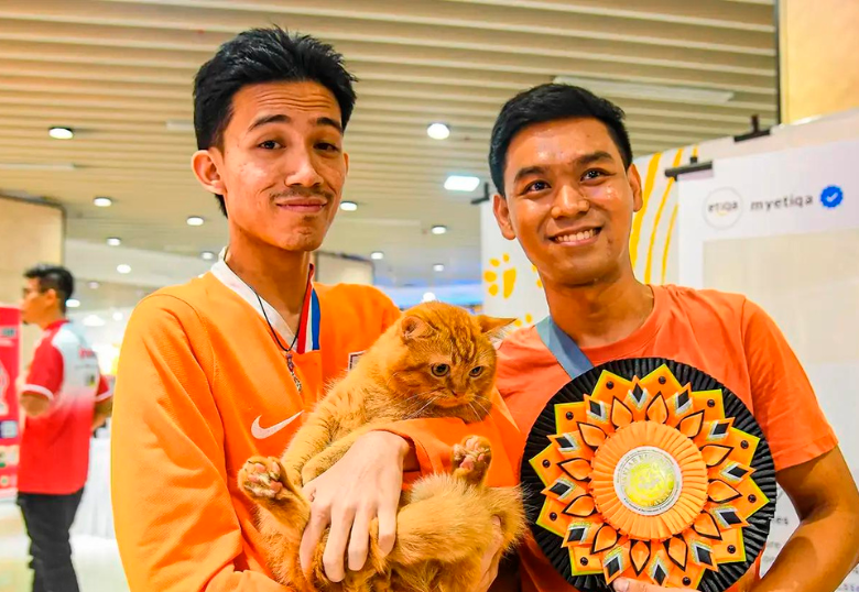 ¡Increíble! Un gato en Malasia es el más parecido a Garfield 