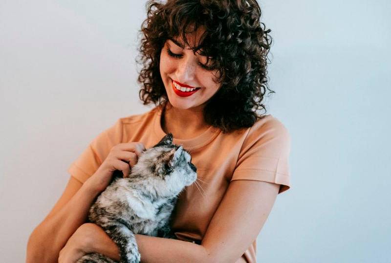 ¿Qué es la ailurofilia con los gatos y sus implicaciones psicológicas?