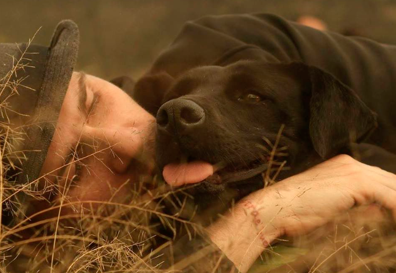 Edwin, el perro al que Alejo Mejía le compuso una canción