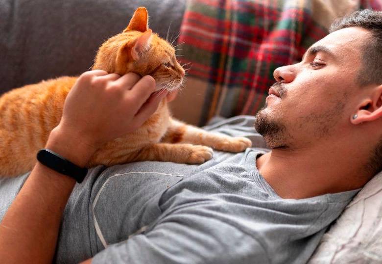 Seis características para identificar a un amante de los gatos