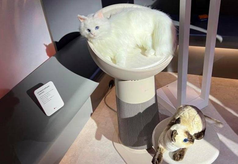 Un purificador de aire que es al mismo tiempo una cama para tu gato