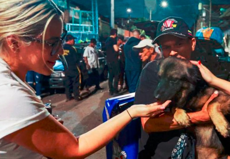 Vida de perros nocturna: protectores de los animales de la calle en Medellín