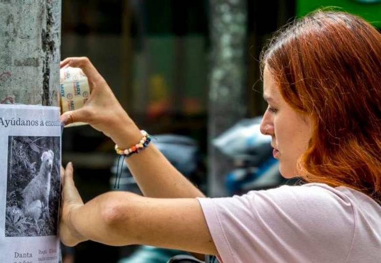 Las mascotas perdidas en Bogotá tienen un portal que facilita su hallazgo