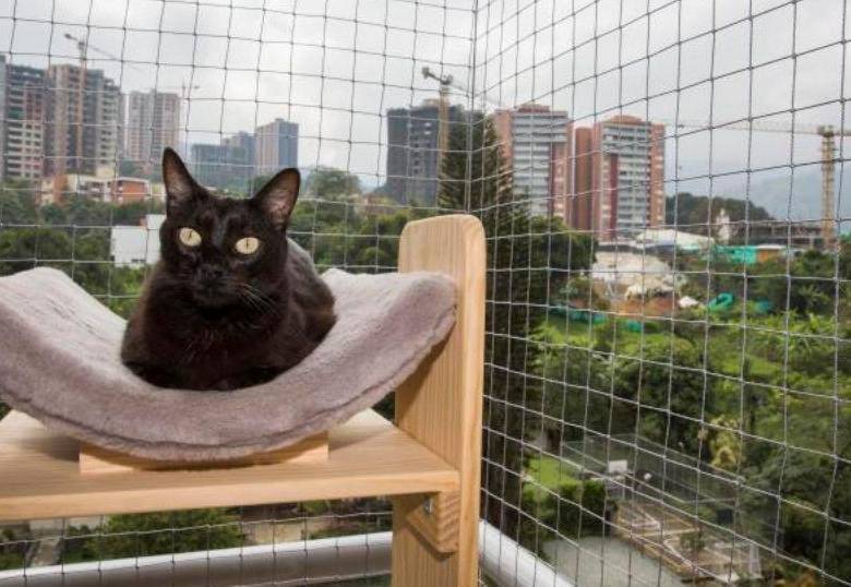 ¿Cómo adaptar mi casa para un gato?