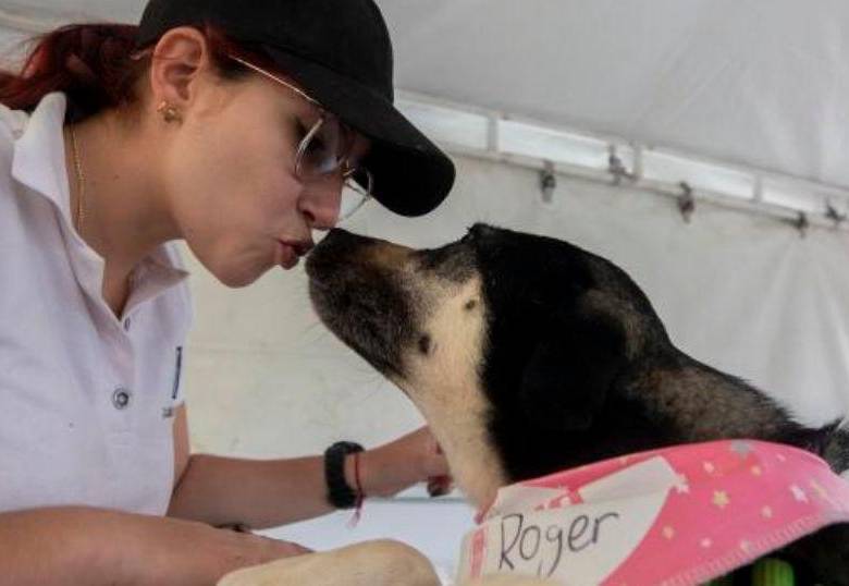 ¿Por qué se me acercan los perros en la calle?