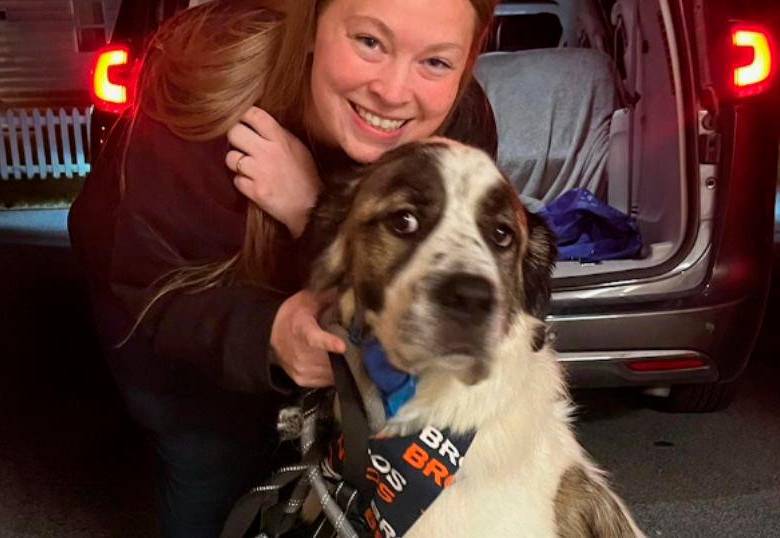 ¿Cómo funciona el microchip de identificación de mascotas?