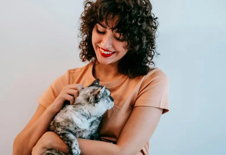 ¿Qué es la ailurofilia con los gatos y sus implicaciones psicológicas?