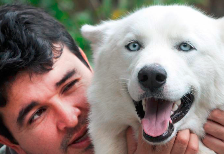 La vida digna es posible para los animales de compañía con diabetes
