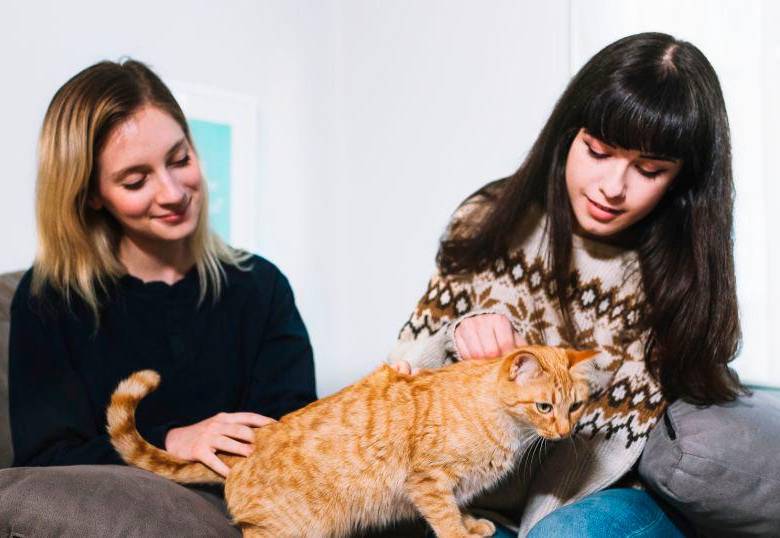 ¿Por qué les hablamos a nuestras mascotas?