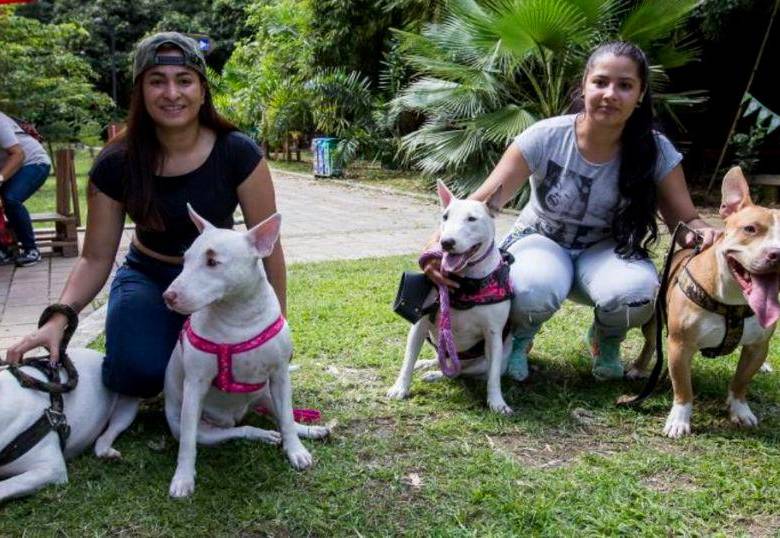 El perro puede ser fundamental para cumplir tus propósitos de Año Nuevo