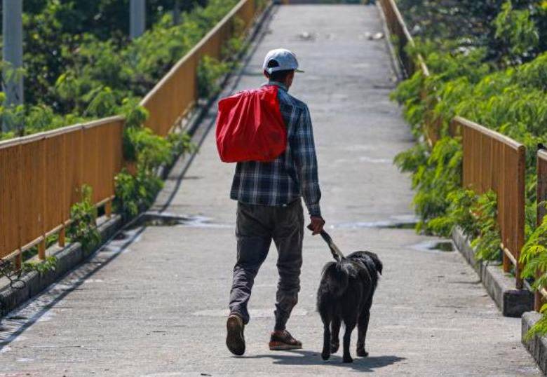 Sacar a tu perro sin correa podría acarrearte una multa