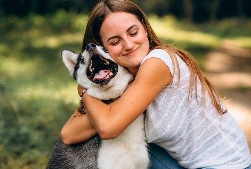 Tu mascota tiene fecha especial: días festivos para perros y gatos
