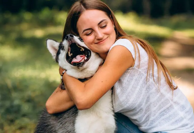 Tu mascota tiene fecha especial: días festivos para perros y gatos