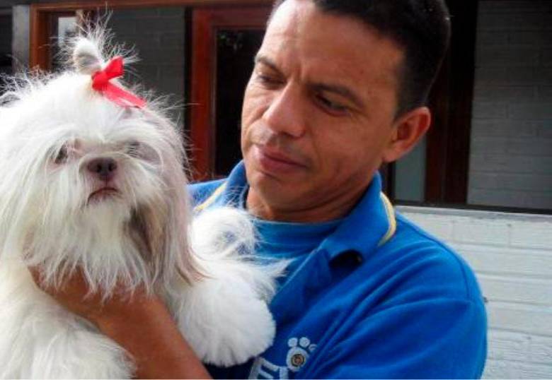¿Cómo reducir la caída del pelo en las mascotas?