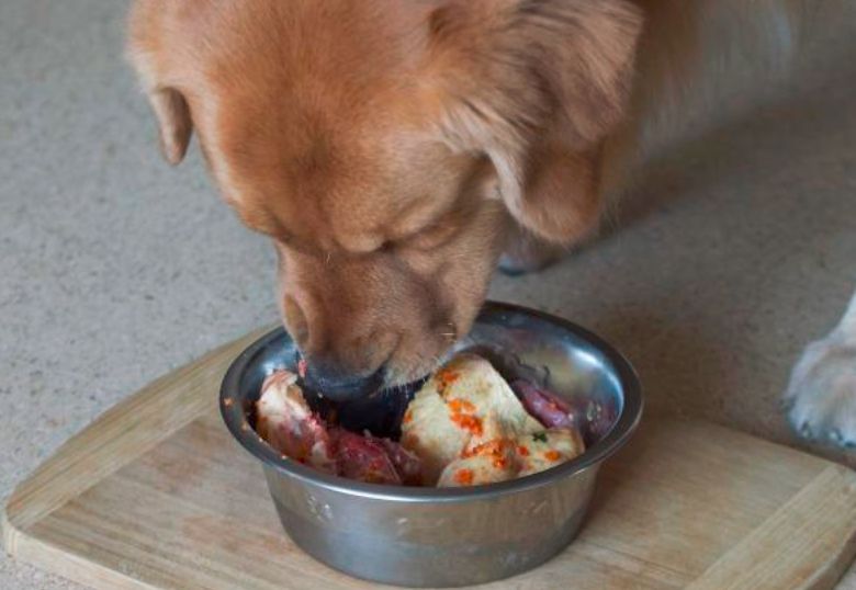Dieta barf: ¿una alternativa saludable para las mascotas?