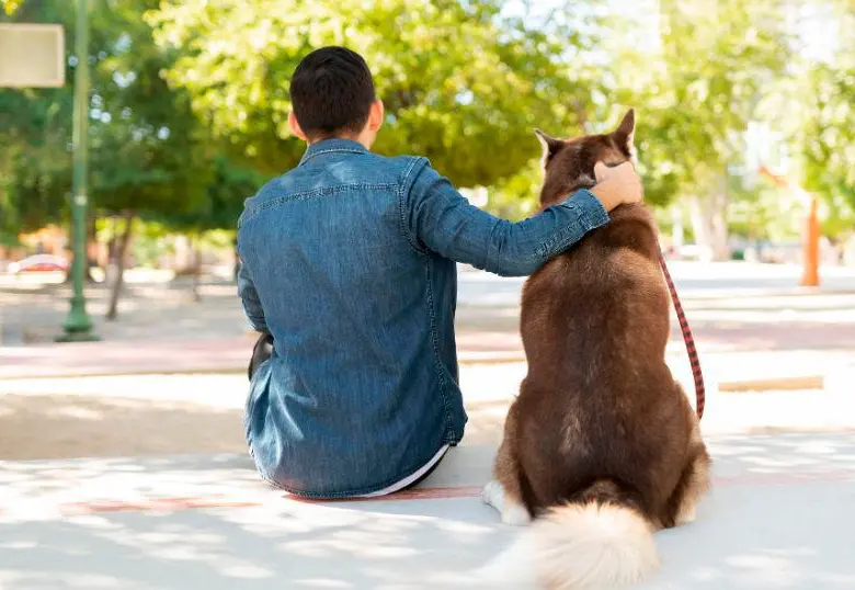 Cómo superar la “depresión del cachorro” ¡Claves para cuidadores! 