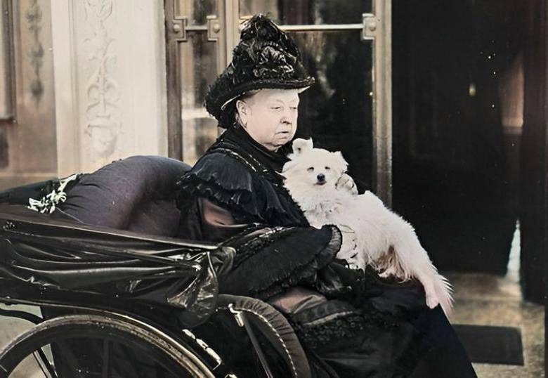 Los más de 80 perros reales de la reina Victoria