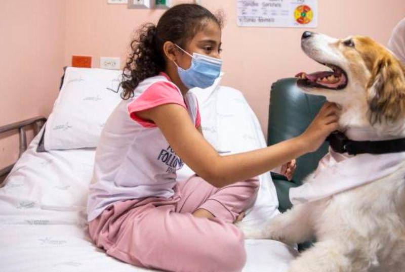 Mascotas les dan último adiós a sus humanos en hospital de Bogotá