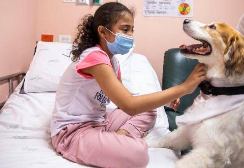 Mascotas les dan último adiós a sus humanos en hospital de Bogotá