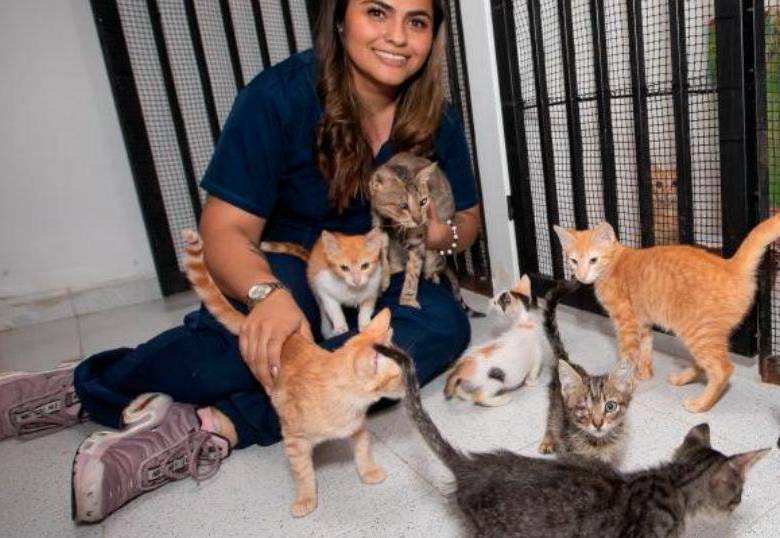 ¿Por qué mis gatos son tan distintos si viven juntos? Tenemos la respuesta