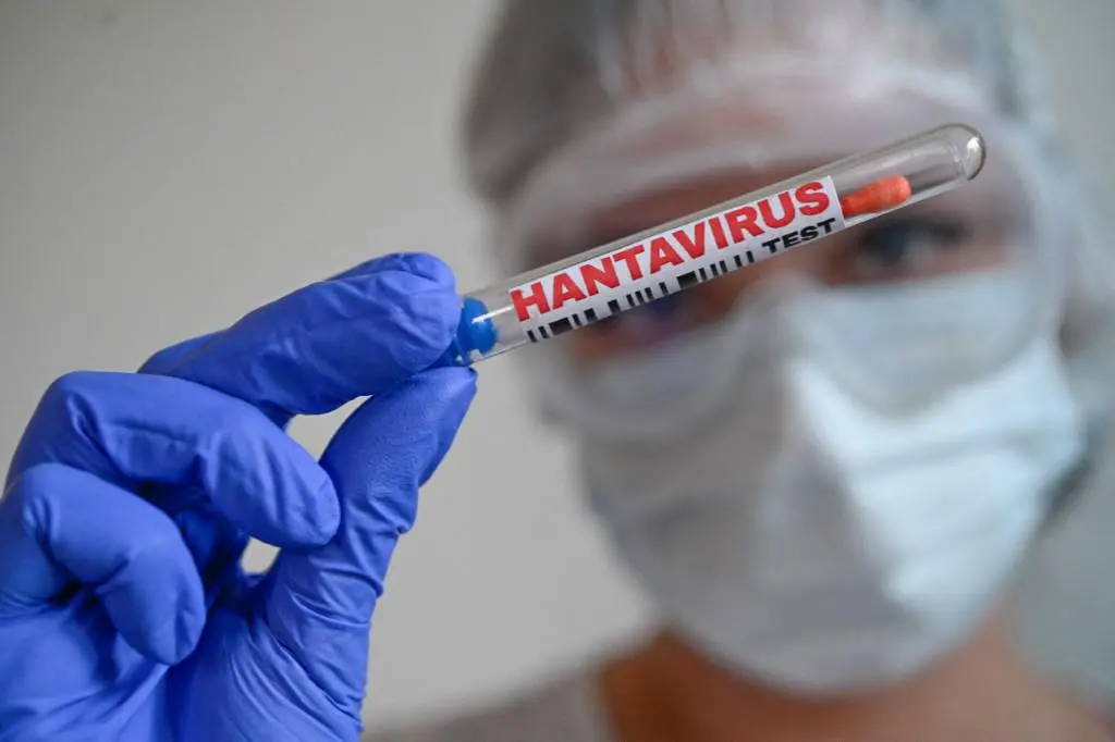 En diferentes países de Europa están realizando vigilancia epidemiológica por el posible brote del hantavirus en un vuelo de KLM. FOTO: Joao Luiz Bulcao / Hans Lucas via AFP.