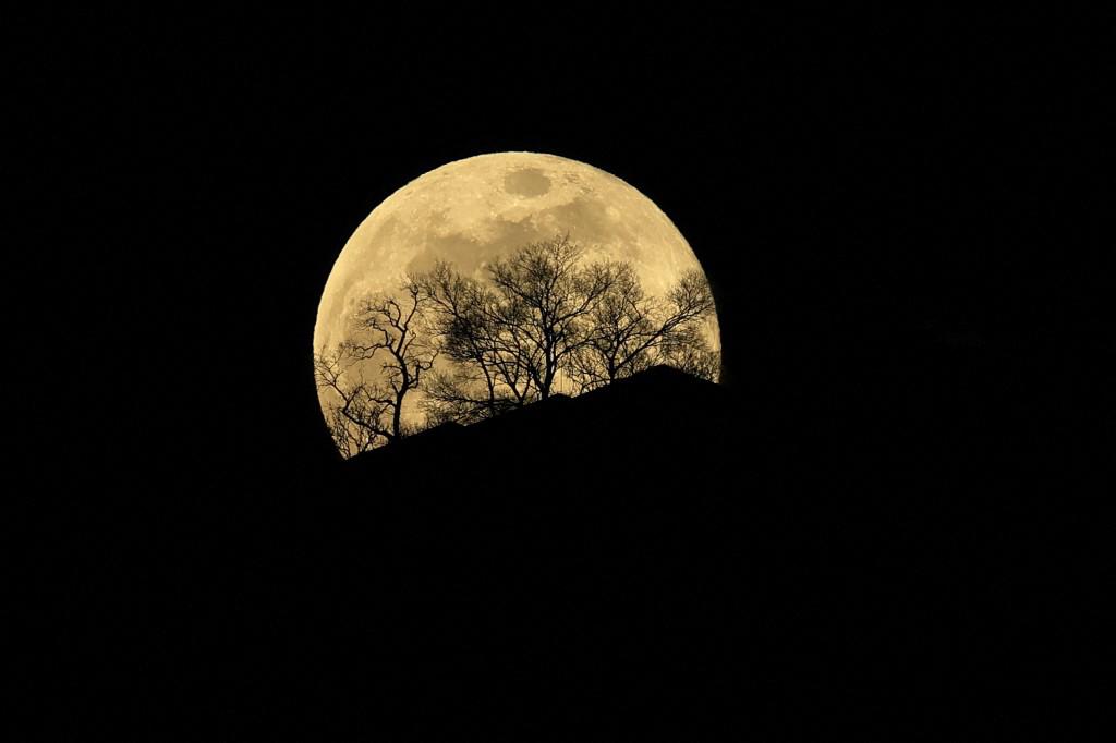 Ilustración de un asteroide cercano que comparte la órbita de la Tierra alrededor del Sol sin estar ligado gravitacionalmente al planeta. FOTO AFP