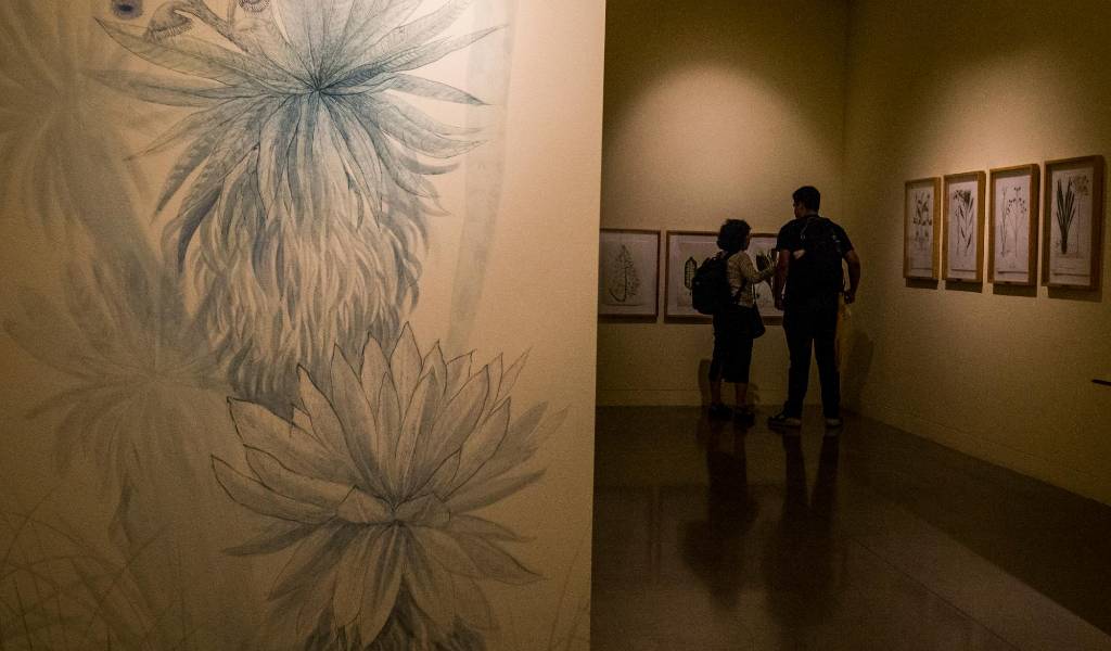 La exposición se ve en la sala Historias para Repensar del Museo de Antioquia. Foto: Julio César Herrera.