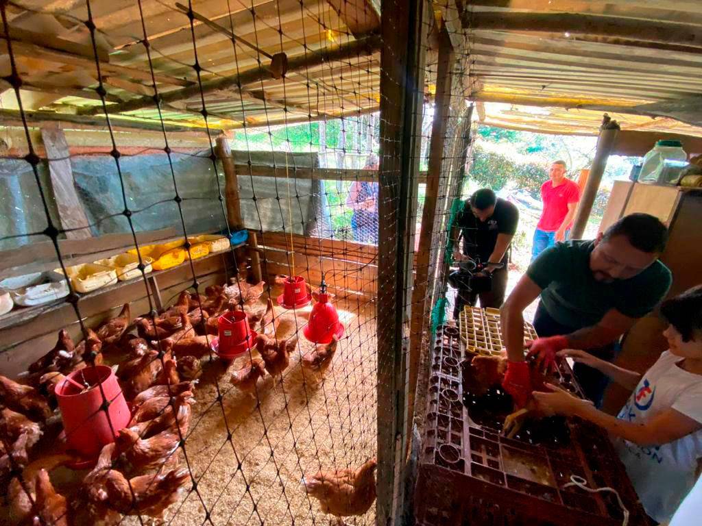 Gracias a la solidaridad, Jénnifer y su familia pudieron darle una segunda vida a su granja avícola en Rionegro. FOTOS<b><span class="mln_uppercase_mln"> Cortesía</span></b>
