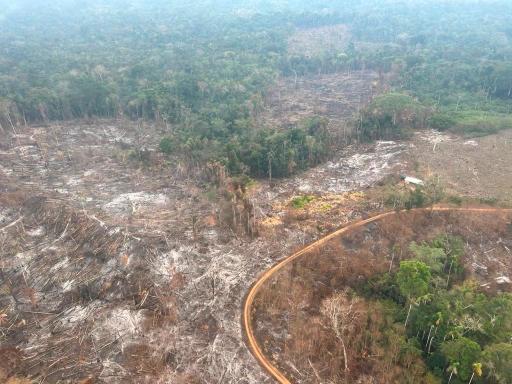 De acuerdo con el mandatario, esta estructura ilegal lo que pretende es apoderarse de las tierras de forma ilícita, por lo que se desplegó un contingente de 400 comandos de la Fuerza Pública para perseguir a sus miembros y frenar el riesgo de un ecocidio mayor. Foto: CORTESÍA MINDEFENSA