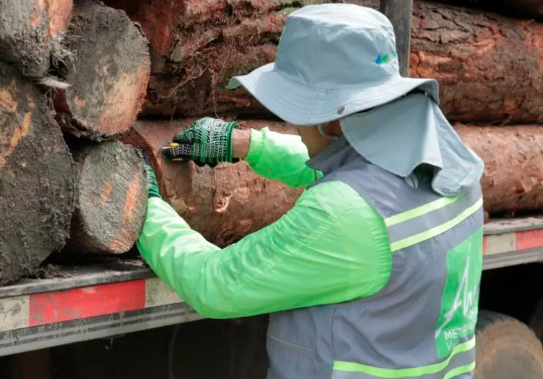 Más de 1.500 metros cúbicos de madera ilegal han sido incautados en el Valle de Aburrá entre 2023 y 2024. FOTO: CORTESÍA