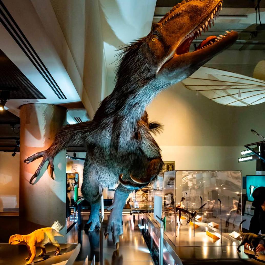 Un dinosaurio gigante en el Phillip and Patricia Frost Museum. Todas las fotos cortesía GMCVB.