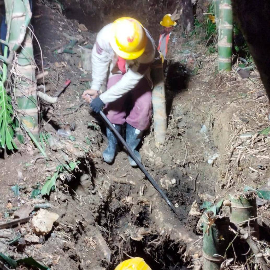 Las cuadrillas de EPM trabajan en una zona boscosa con guaduales de más de ocho metros de altura para dar con el nuevo daño de la tubería.<b> </b>FOTO: Tomada de X (antes Twitter) @EPMestamosahi