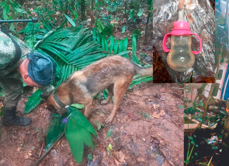 La aeronave colisionó el pasado 1 de mayo en la selva del Guaviare. Por ahora los equipos de búsqueda han encontrado huellas, frutas mordidas y refugios improvisados. FOTO: Aerocivil 