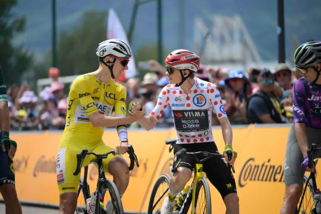 Se disputa la etapa 19 del Tour de Francia que tuvo que ser recortada por probema de brote bovino. FOTO TOMADA X@LeTour 