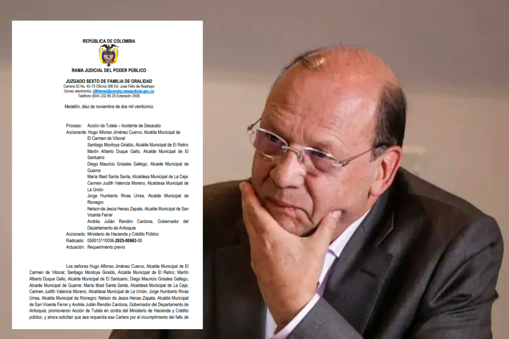 Germán Ávila Plazas, ministro de Hacienda. FOTO: Colprensa