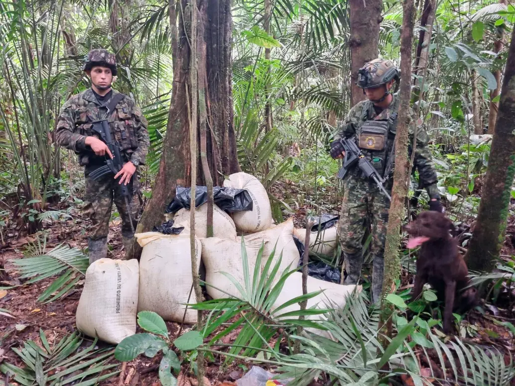 Un perro entrenado fue clave para encontrar los bultos con los explosivos en la selva. FOTO: CORTESÍA DEL EJÉRCITO.