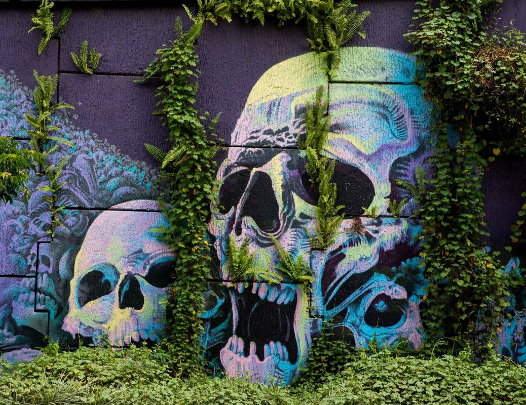 En Medellín muchos murales cobran vida con ayuda de la naturaleza. Fotos Julio César Herrera