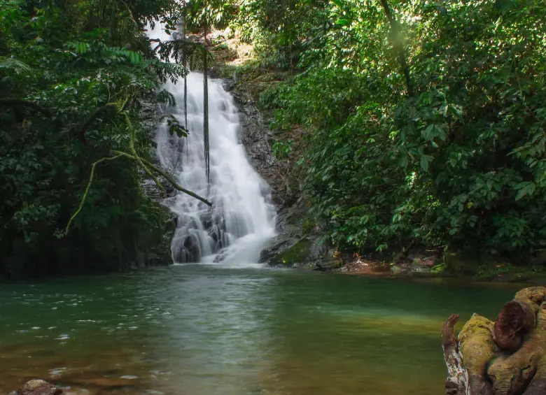 Este es el Charco y la Cascada del Amor de Las Palmas. FOTO Cortesía Gilmar Botache