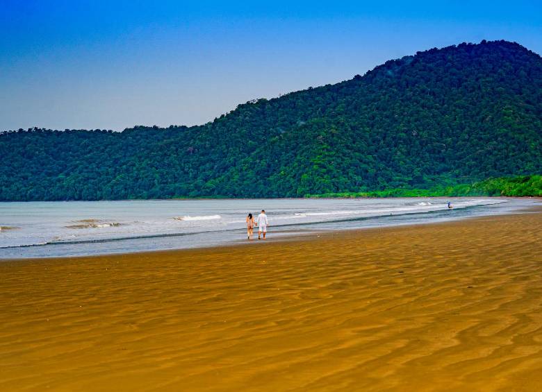 Nuquí tiene largas playas perfectas para caminar y relajarse, además de senderos que invitan a descubrir la exuberante y sorprendente belleza de su flora tropical. Foto: Cortesía