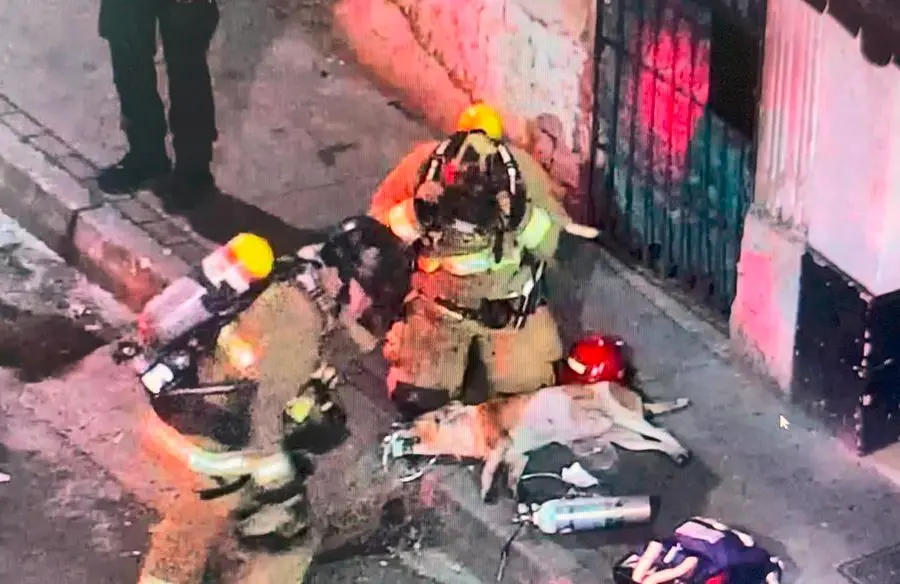 Los bomberos le pusieron oxígeno al canino mediante una máscara especializada para estabilizarlo y luego le dieron alimento. FOTO: CORTESÍA - ALCALDÍA DE MEDELLÍN