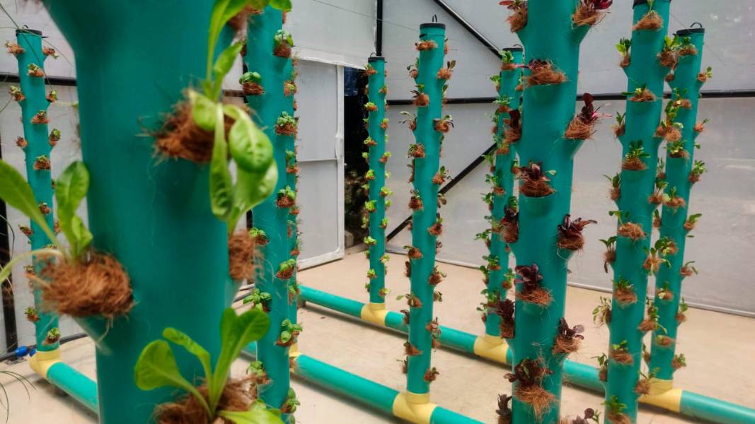 Universidad antioqueña inauguró campus para aportar a la soberanía alimentaria y a la agricultura sostenible