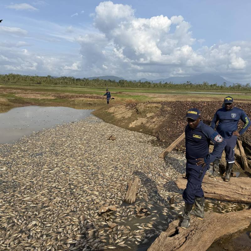 Así se ve hoy parte de la ciénaga Remacho afectada por la mortandad de peces. FOTO: Cortesía