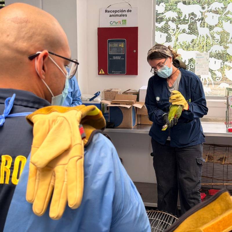 Uno de los miembros de los bomberos recibiendo la capacitación. FOTO: Cortesía