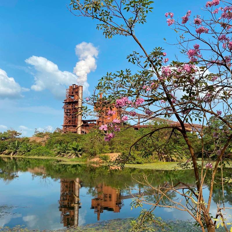 Bloqueos en la vía de acceso a Cerro Matoso completan tres días y afectan la operación continua de la planta de ferroníquel. FOTO cortesía Cerro Matoso