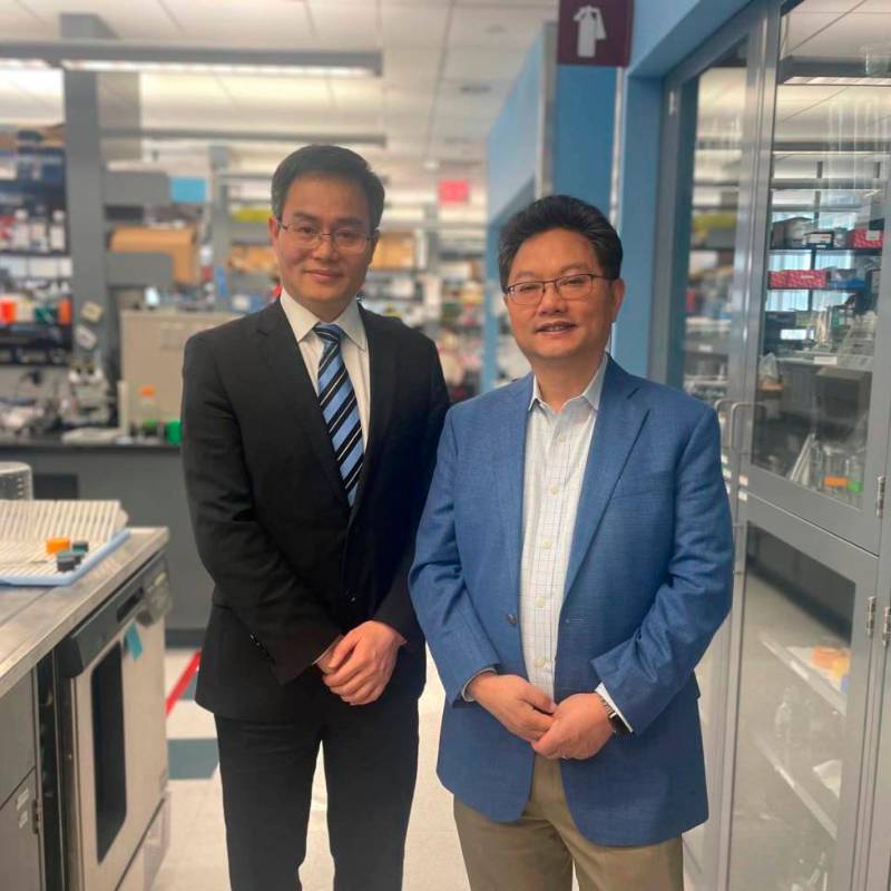 Los investigadores Yilai Shu (izquierda), de la Universidad de Fudan, y Zheng-Yi Chen (derecha), científico asociado del Mass Eye and Ear de Boston. FOTO: Mass General Brigham.