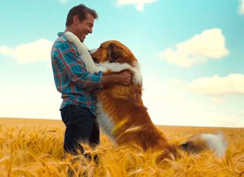 Cinco películas que te harán amar más a tu perro
