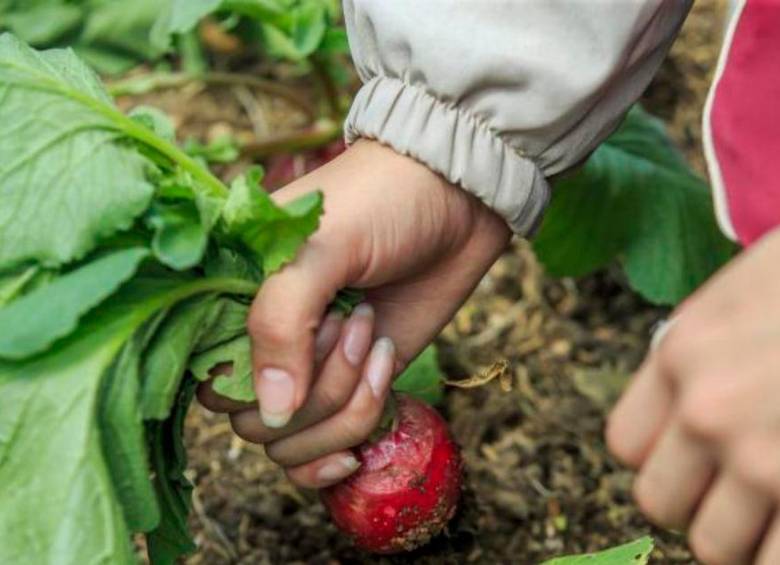 ¿Tiene un emprendimiento sostenible? Esta convocatoria le interesa