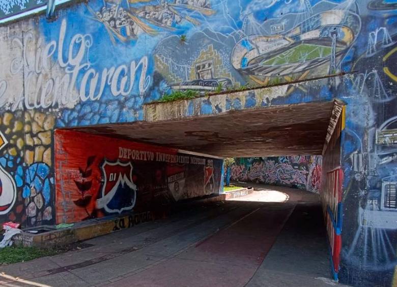 Mataron a habitante de calle debajo del puente de la Madre Laura