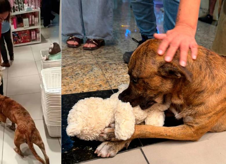 /FOTOS: REDES SOCIALES